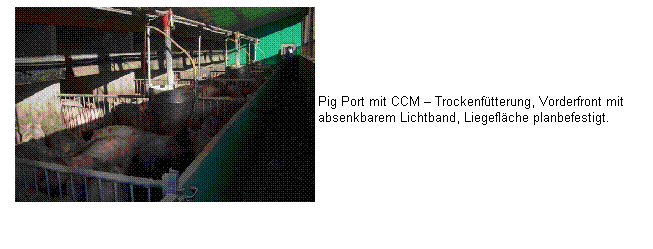 Textfeld:  
 
 
 
Maststall mit Stroheinstreu und Automatenfütterung, mit PU-Deckenisolierung und Schwerkraftlüftung. Zuluft über absenkbares Lichtband.
