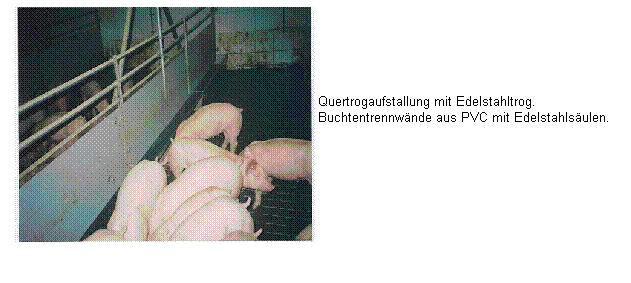 Textfeld: Pig Port mit CCM – Trockenfütterung, Vorderfront mit absenkbarem Lichtband, Liegefläche planbefestigt. 
